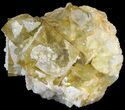 Quartz Encrusted Yellow Cubic Fluorite Cluster - Morocco #44854-2